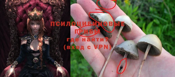 соль ск Балахна